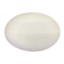 陶芸材料 素焼き 7号楕円皿【直径約22.7cm×16.3cm】(並)